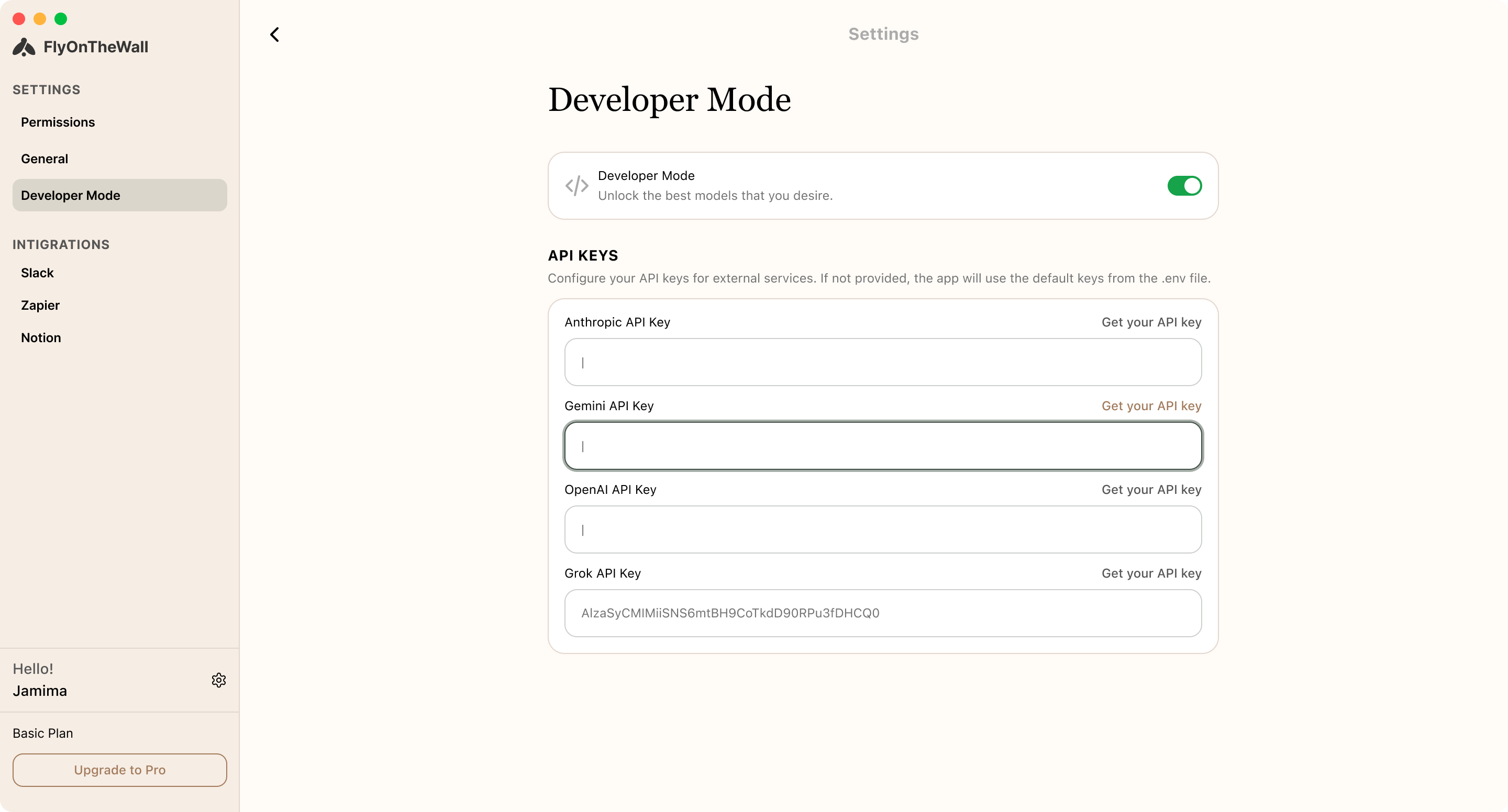 Developer mode